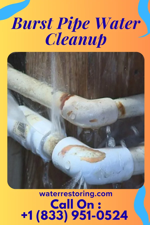 Burst Pipe Water Cleanup in Lincoln, PA