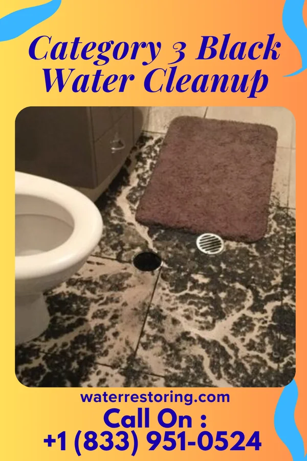 Category 3 Black Water Cleanup in Lincoln, PA