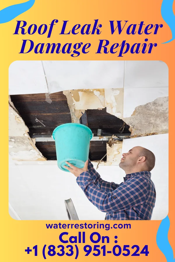 Roof Leak Water Damage Repair in Lincoln, PA