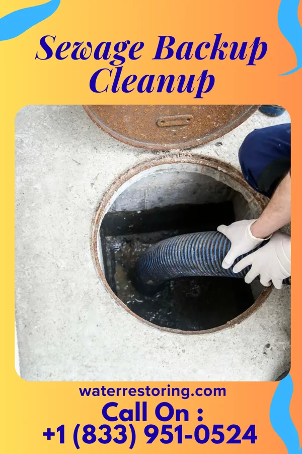 Sewage Backup Cleanup in Lincoln, PA