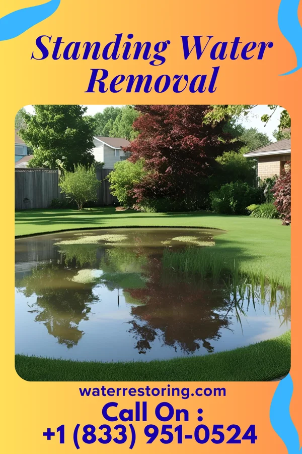Standing Water Removal in Lincoln, PA